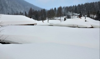 撒鹽空中差可擬的意思 詠雪文言文翻譯