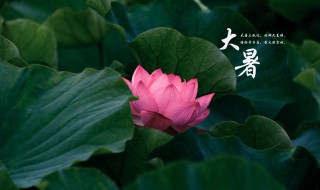 大暑节气特点 大暑节气有哪些特点