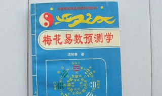 梅花易数预测简单方法 梅花易数预测简单方法是怎样的