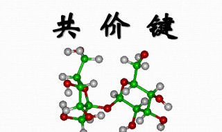 什么是共价键 共价键是什么