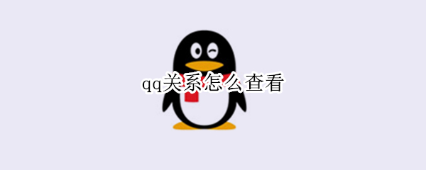 qq关系怎么查看（在哪里看QQ关系）