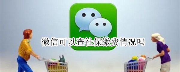 微信可以查社保缴费情况吗 微信可不可以查社保总缴费情况?