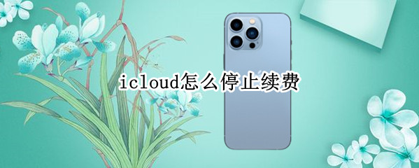 icloud怎么停止续费 苹果icloud怎么停止续费