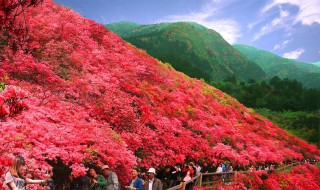 云雾山风景区在哪里 大家可以了解一下