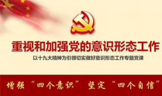 党员意识方面存在问题和整改措施 简单介绍