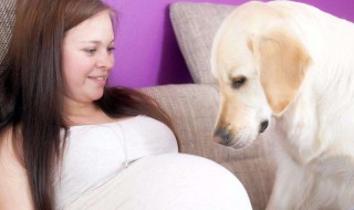 孕妇忌口的食物有哪些 孕妇忌口的食物列述