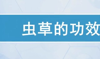 虫草有什么作用与功效 虫草的功效与作用是什么