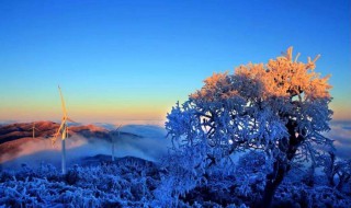 冬季的第一场雪作文 冬季的第一场雪范文欣赏