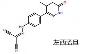 左西孟旦的作用 左西孟旦的注意事项