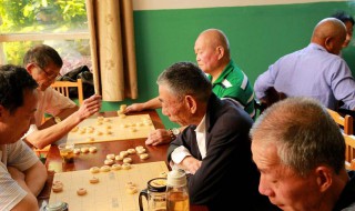 如何玩象棋 你学会了吗