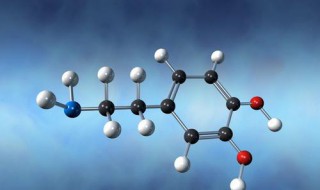 多巴胺的功效與作用 多巴胺的功效與作用是什么