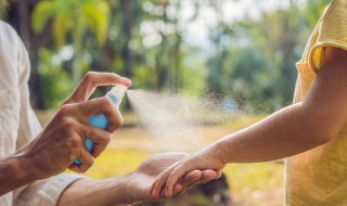 卧室最有效的驱蚊方法 这三种方法最常用