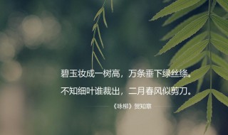 碧玉妆成一树高万条垂下绿丝绦妆什么意思 碧玉妆成一树高万条垂下绿丝绦妆原文