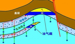 最新石油形成的原理 你可以从这看