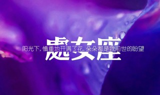 折磨處女座的辦法 4種方法趕緊試試