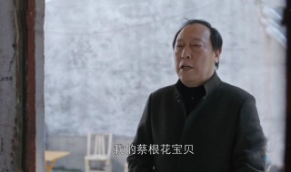 苏大强是什么电视剧 角色特点介绍