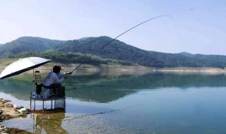 什么方法釣鯉魚好 釣鯉魚方法