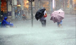 暴雨怎么形成的原因是什么 暴雨怎么形成的原因介紹