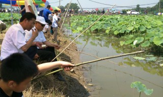 釣蝦用什么餌料 魚鉤怎么選