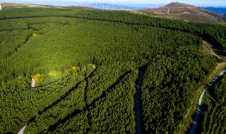 翠云山景区介绍 主峰海拔多高