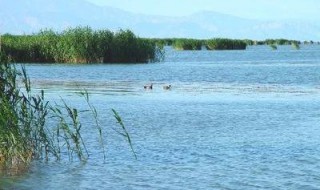 中國有幾大淡水湖 五大淡水湖