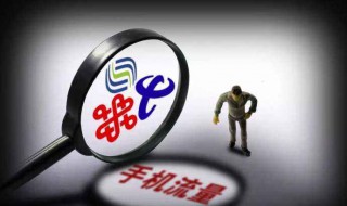 轉(zhuǎn)網(wǎng)短信查詢 一條短信就搞定