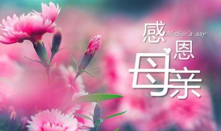 一句感恩美好的祝福語(yǔ) 有關(guān)感恩的詩(shī)句