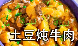 土豆炖牛肉的家常做法 土豆炖牛肉怎么做好吃