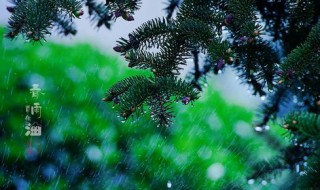 春天蒙蒙細(xì)雨唯美句子 春天蒙蒙細(xì)雨唯美句子有哪些