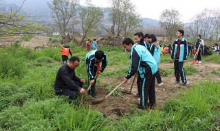 2019年植树节是几月几日 星期几