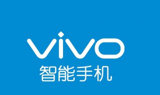 vivo取消软件安装密码 有没有可以取消安装软件密码的方法