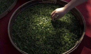 茶叶保存方法和技巧 不同茶叶的收藏储存方法技巧