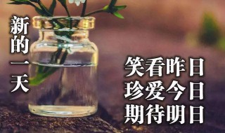 健康平安的句子经典 健康平安的句子经典有哪些