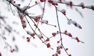 人工降雪和人工增雪的区别 人工增雪和人工降雪两者简单介绍