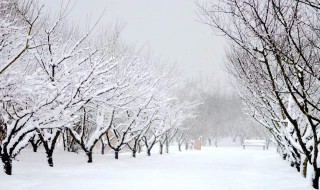 寫下雪的一句話 有關(guān)下雪的句子