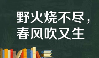 野火烧不尽的野火是什么意思 野火烧不尽的原文及译文