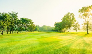 空氣中含量比例 空氣中含量比例多少是正常的