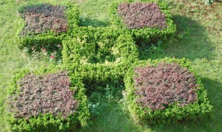 花圃是什么意思 花圃释义