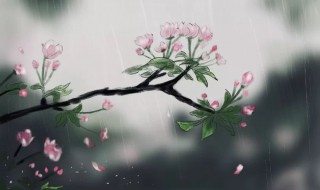 春風(fēng)桃李花開日秋雨梧桐葉落時求這句話的意思 春風(fēng)桃李花開日秋雨梧桐葉落時的含義