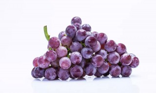 grape是什么意思 grape解釋