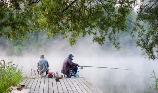 冬天下雨天能钓鱼吗 冬季其实阴雨天更适合钓鱼吗