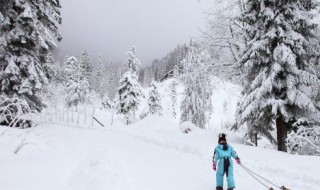 松柏雪景拍照技巧 拍雪景的妙招