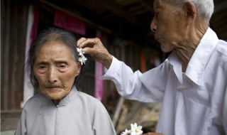 感恩節(jié)感謝長輩的句子 感謝長輩的祝福語集錦