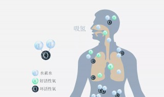 氢气对人体有什么好处 氢气对人体有哪些好处