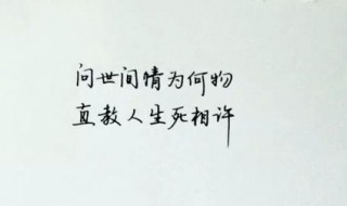 问世间情为何物直教人生死相许最初写的是 问世间情为何物直教人生死相许原文