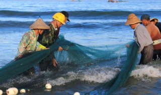 不要用密的漁網(wǎng)捕魚(yú)是什么意思 不要用密的漁網(wǎng)捕魚(yú)意思是什么