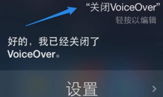 voiceover怎么强制关闭 最简单的方法