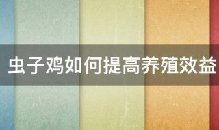 虫子鸡如何提高养殖效益 虫子鸡提高养殖效益的方法