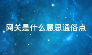 网关是什么意思通俗点 网关通俗解释