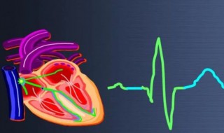 正常心跳的注意事项 正常心跳需要注意什么
